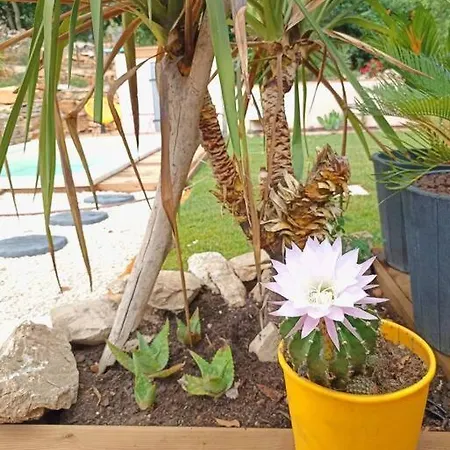 Villa Maison Au Calme Avec Piscine *